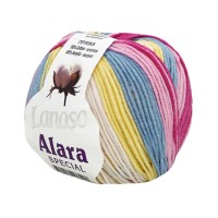 ALARA SPECIAL